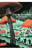 Voyage au centre de la terre (abrege)