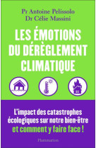 Les ?motions du d?r?glement climatique