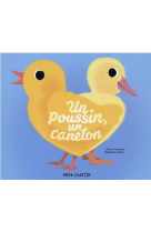 Un poussin, un caneton (histoires du pere castor)