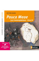 Pauca  meae -