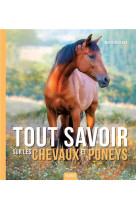 Tout savoir sur les chevaux et poneys