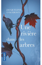 Une riviere dans les arbres