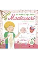 Mes cartes du corps humain montessori