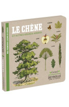 Le chene et autres grands arbres - deyrolle