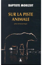 Sur la piste animale