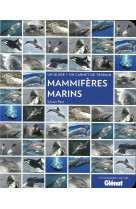 Mammiferes marins
