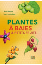 Plantes a baies & petits fruits