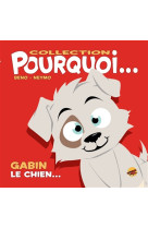 Collection pourquoi... - gabin, le chien