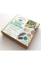 Kit je t-offre des fleurs a planter