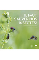 Il faut sauver nos insectes