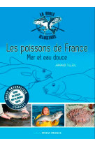 Poissons de france, mer et eau douce bible illustr?e