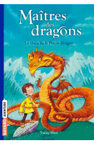 Le maitre des dragons, tome 01