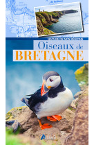 Oiseaux de bretagne