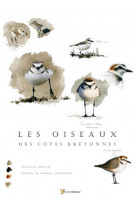 Oiseaux des cotes bretonnes