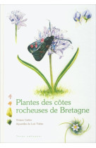 Plantes des cotes rocheuses de bretagne