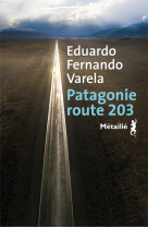 Patagonie, route 203