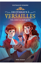 Des jumeaux a versailles, tome 2 - vol chez la marquise