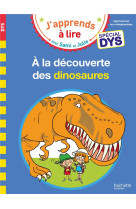 Sami et julie-dys- a la decouverte des dinosaures