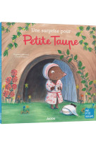 Une surprise pour petite taupe -