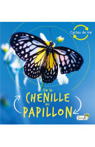 De la chenille au papillon