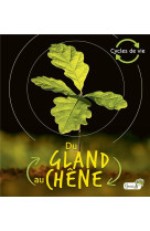 Du gland au chene