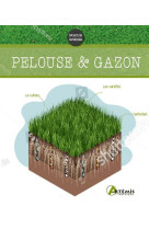 Pelouse & gazon