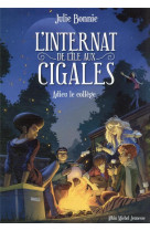 L-internat de l-ile aux cigales - tome 4 - apres le college