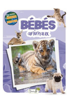 Les bebes animaux