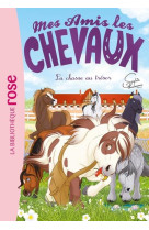 Mes amis les chevaux 39