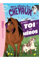 Mes amis les chevaux-aventure sur mesure xxl - mes amis les chevaux - sophie thalmann - t0