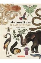 Animalium - 50 cartes postales