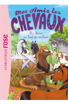 Mes amis les chevaux - sophie thalmann - t41 - mes amis les chevaux 41