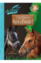 Roman au galop, une annee a cheval - a la recherche de nox et zach