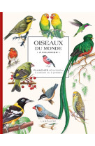 Oiseaux du monde a colorier