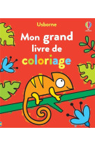 Mon grand livre de coloriage