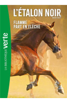 L-etalon noir ned 12- flamme part en fleche