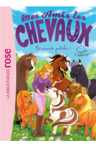 Mes amis les chevaux - sophie thalmann - t43 - mes amis les chevaux 43