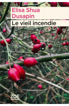 Le vieil incendie