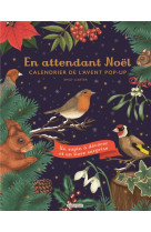 Calendrier de l-avent - noel (tp)