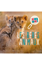 Les bébés animaux