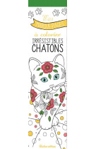 Mes marque-pages a colorier : irresistibles chatons