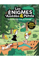 Les énigmes d'amédée et pétula, tome 02