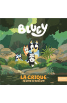 Bluey - la crique - album rc