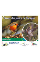 Oiseaux des jardins de bretagne - 60 especes