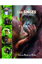 Les singes