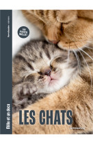 Les chats - mille et un docs