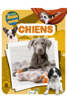 Chiens