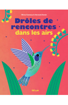 Drôles de rencontres dans les airs