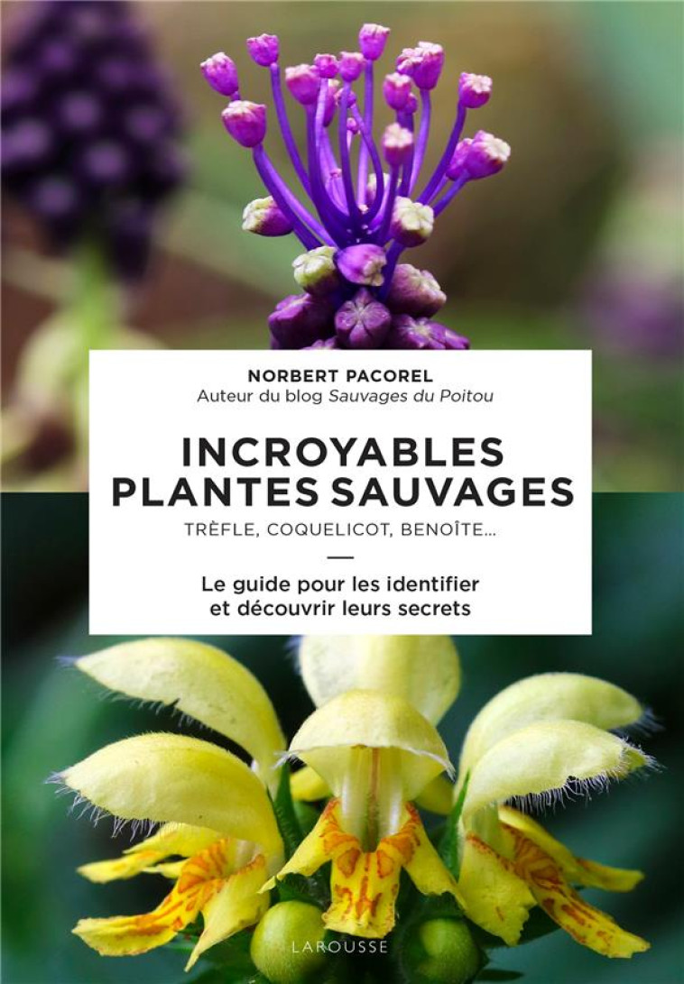 GUIDE DES PLANTES SAUVAGES POUR LES DEBUTANTS - PACOREL NORBERT - LAROUSSE