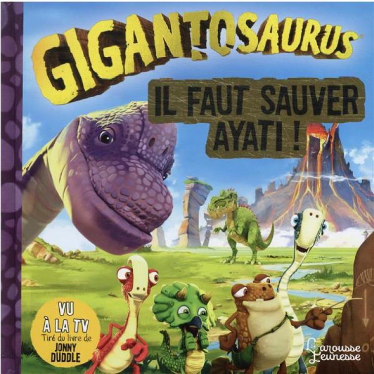 IL FAUT SAUVER AYATI - DUDDLE JONNY - LAROUSSE